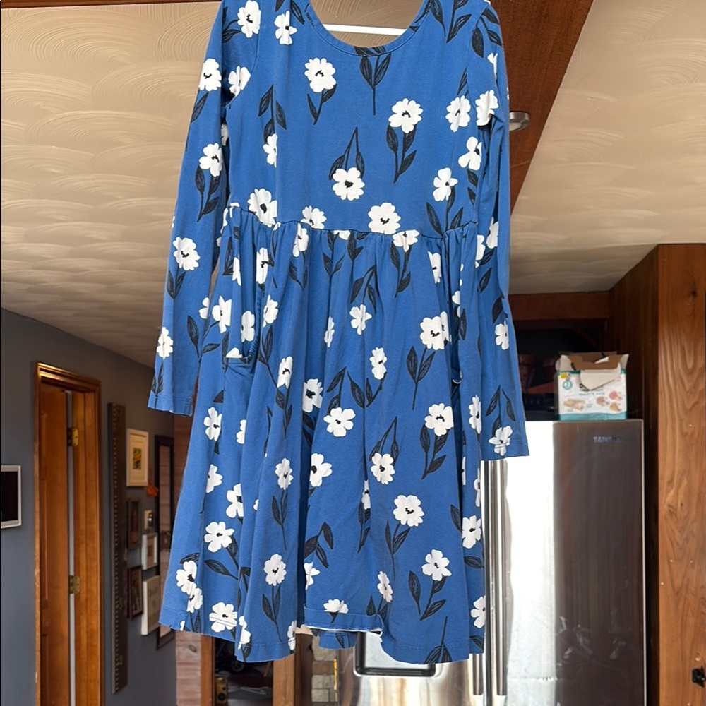 Blue Floral Long Sleeve Dress